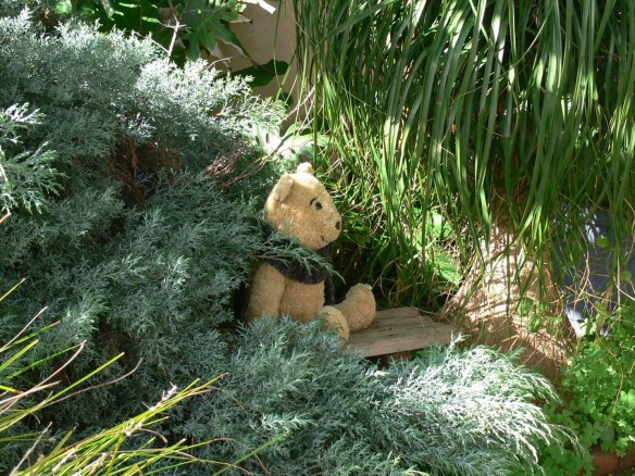 13914058_10208788010971455_2248787157023683974_o