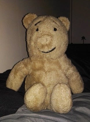 15937299_1341562879229408_1561013705337599296_o