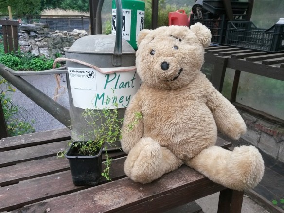 11695457_865791953514871_424703770308519179_n