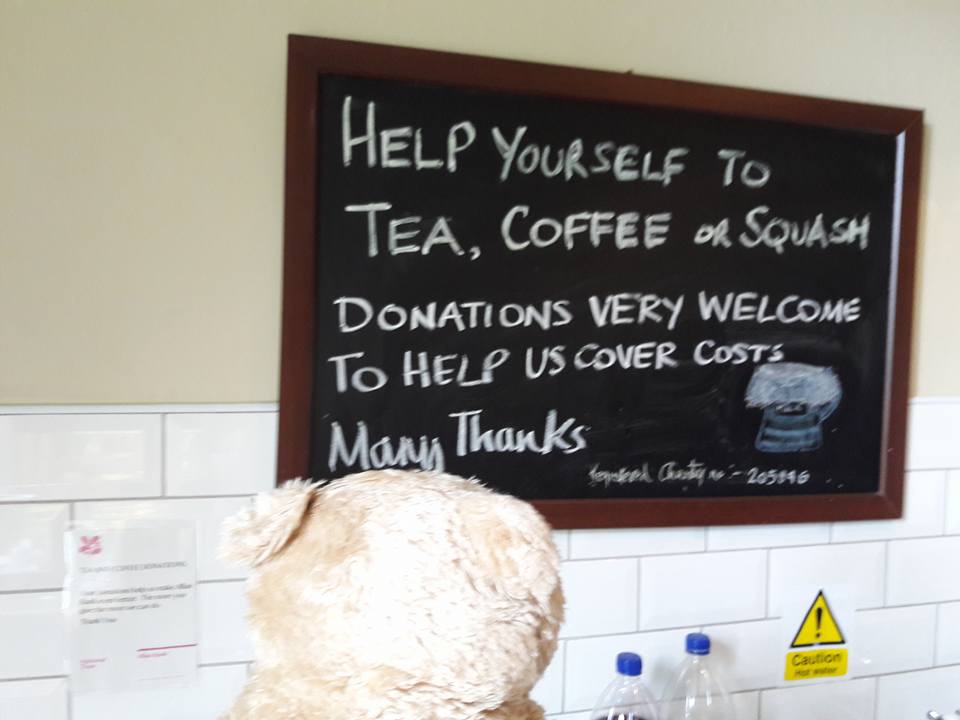 21762170_10156593917909112_8964648287786139318_n