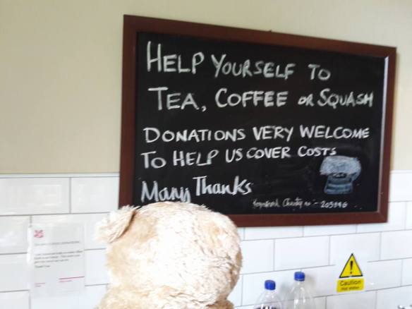 21762170_10156593917909112_8964648287786139318_n